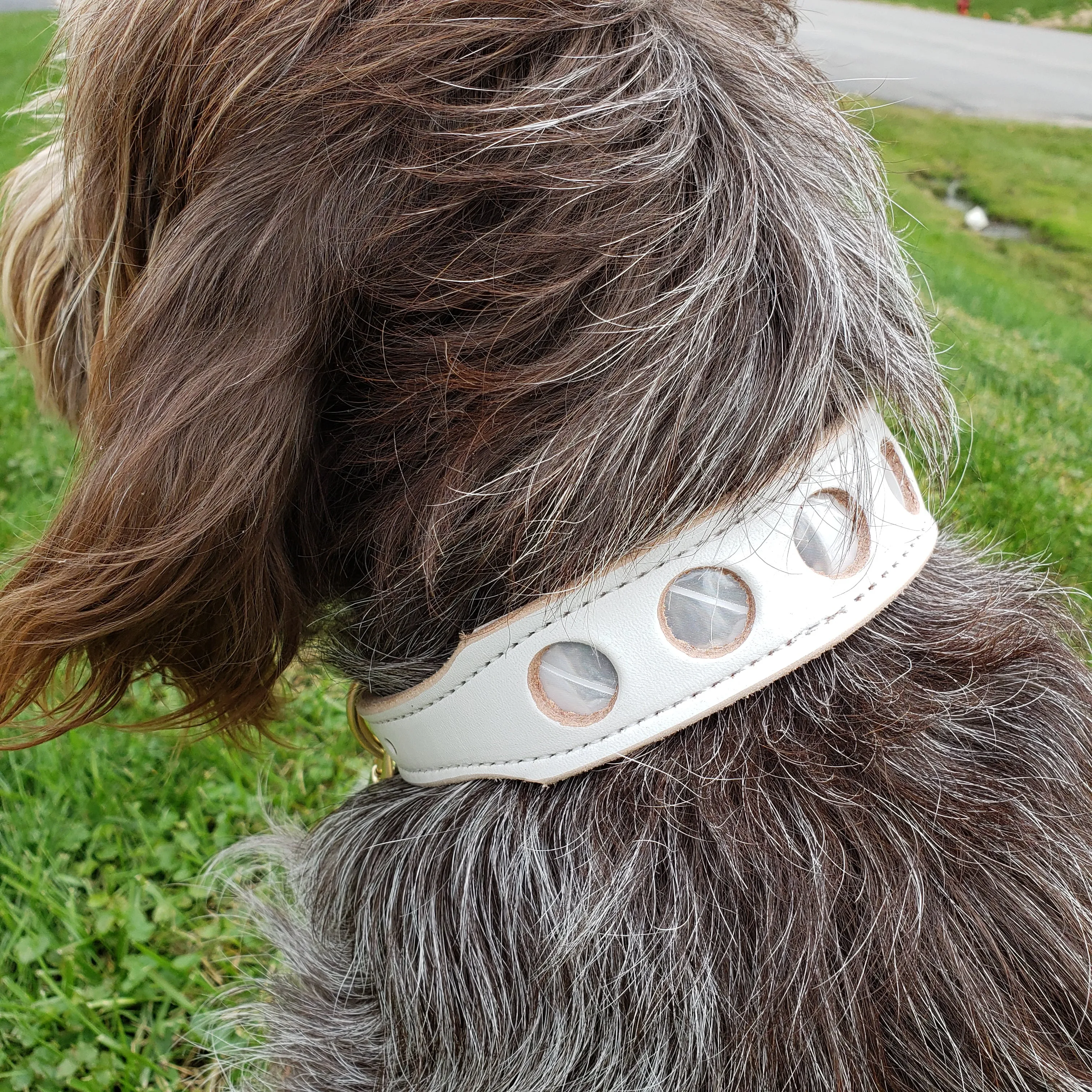 1.5" Double Layer Reflective Collar