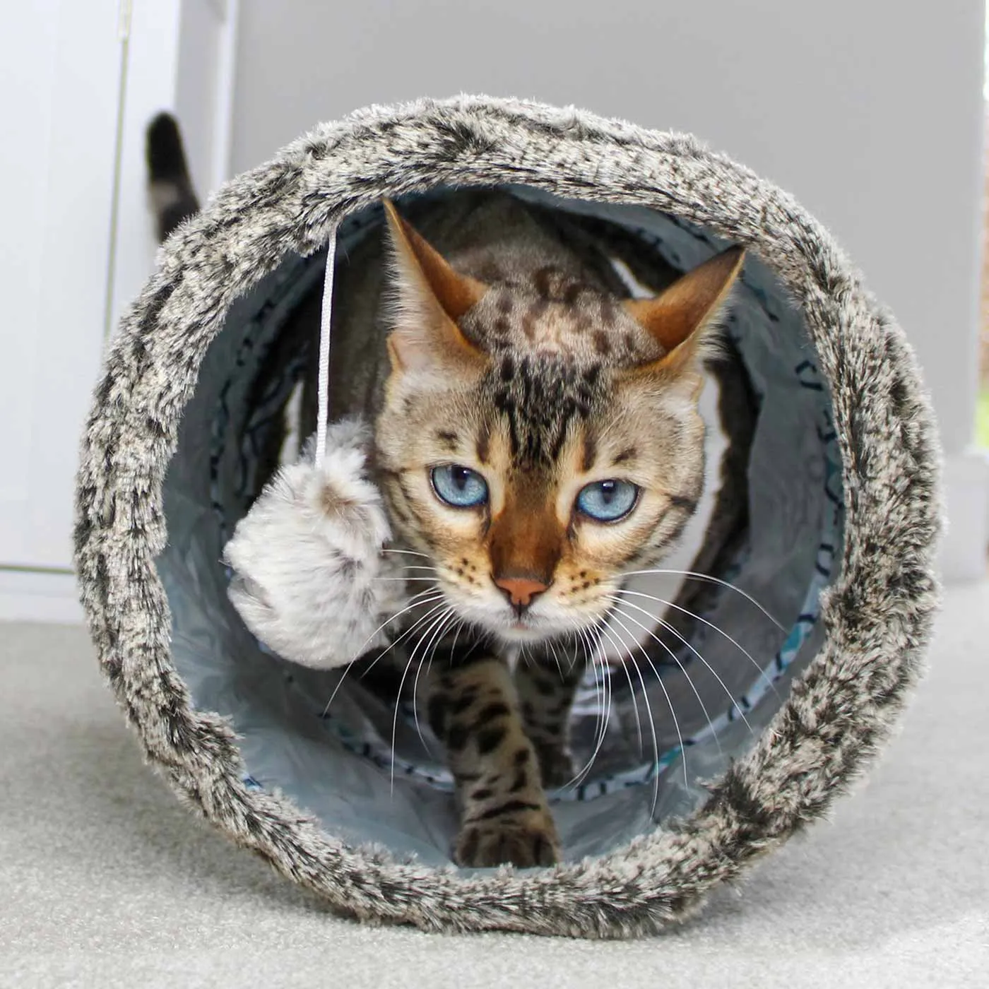 All For Paws Vintage Cat Tunnel