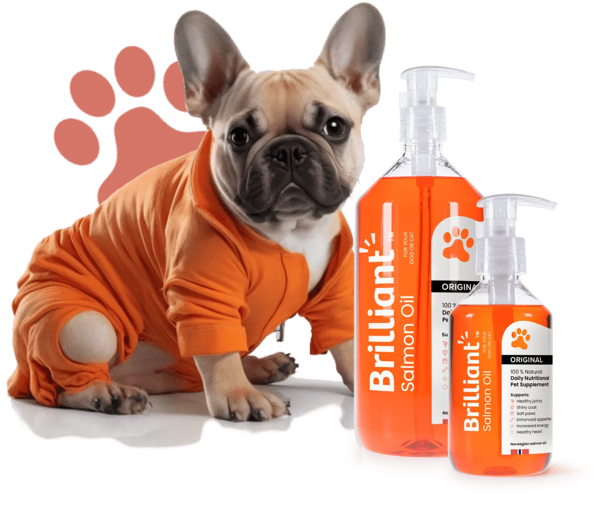 Brilliant - Salmon Oil
