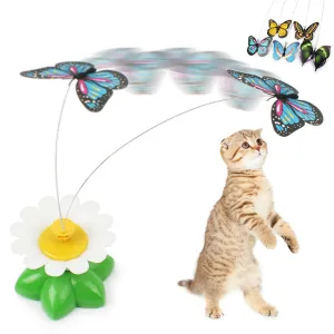 Crazy Kitty Flying Cat Toy