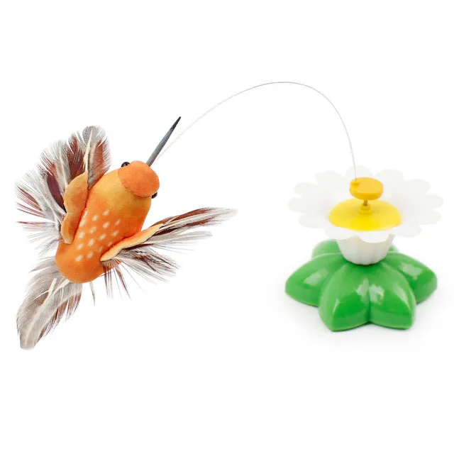 Crazy Kitty Flying Cat Toy