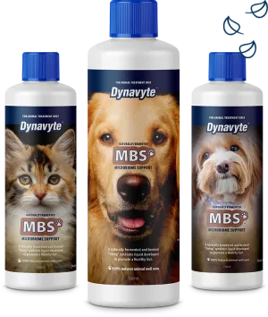 Dynavyte MBS for Dogs