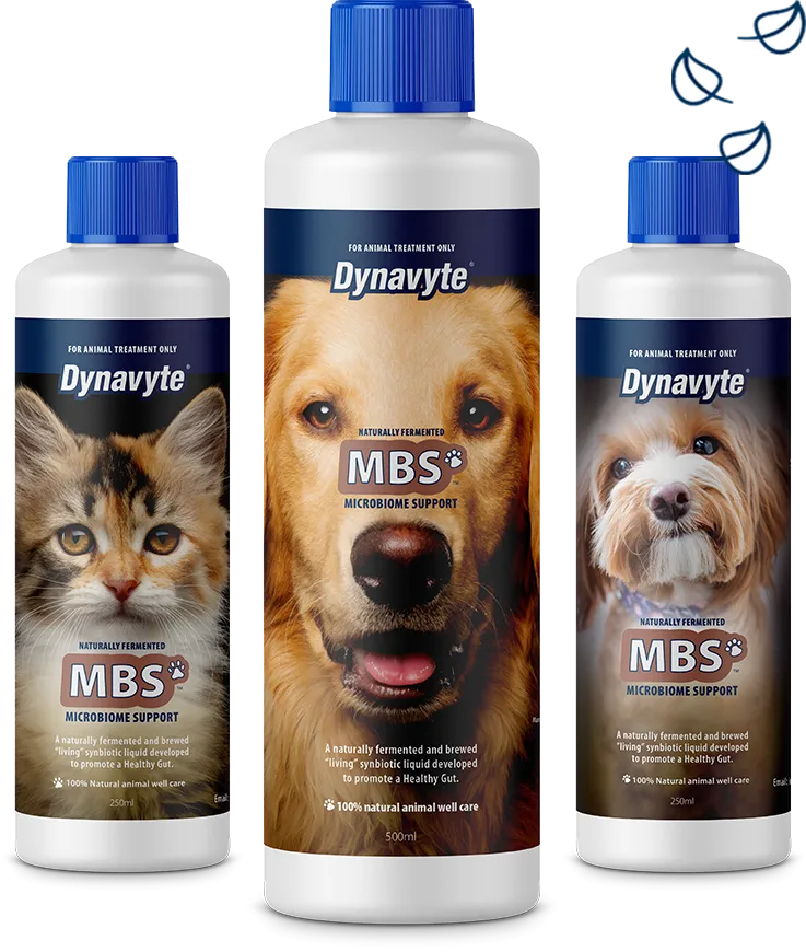 Dynavyte MBS for Dogs