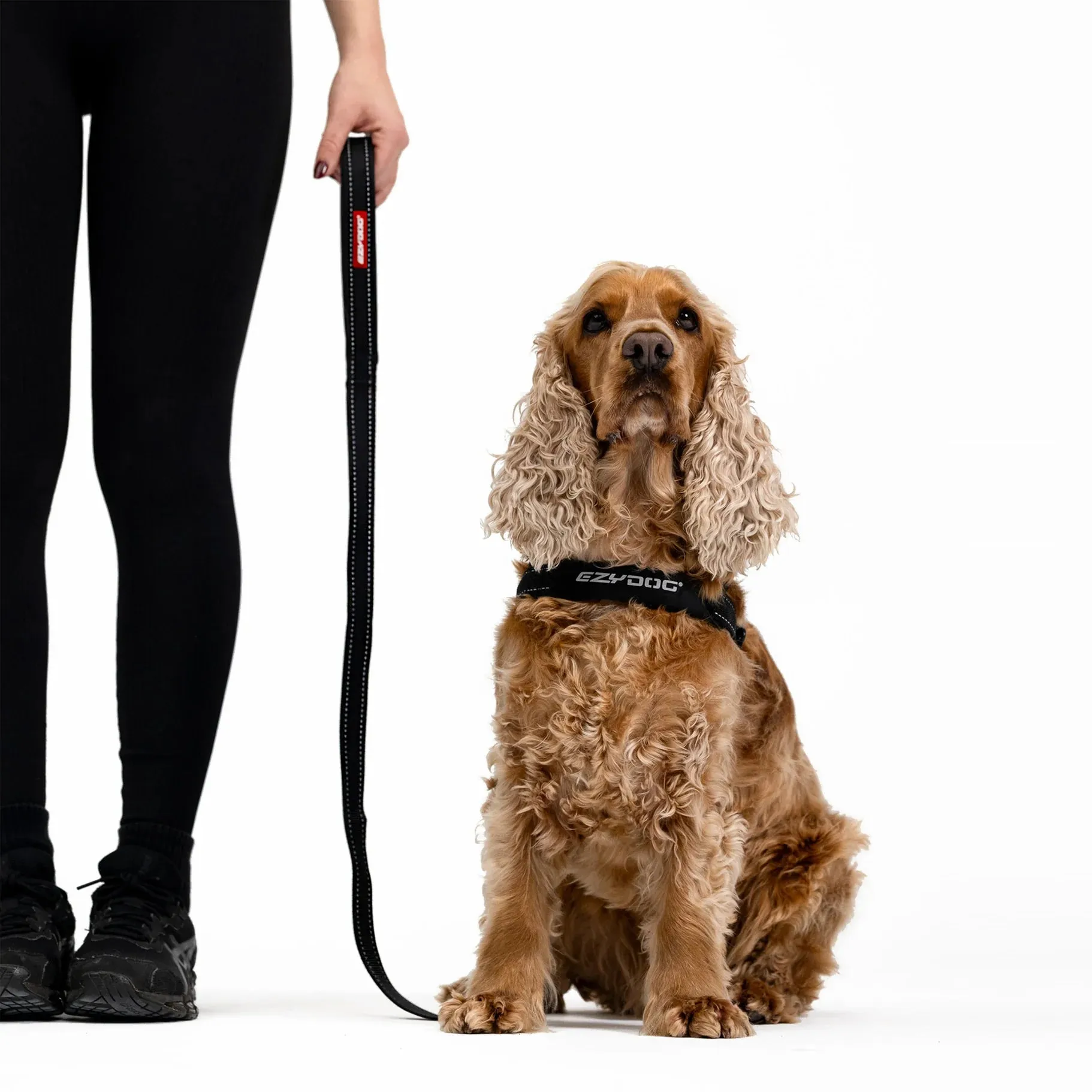 EzyDog Essential Dog Lead Khaki 48inch
