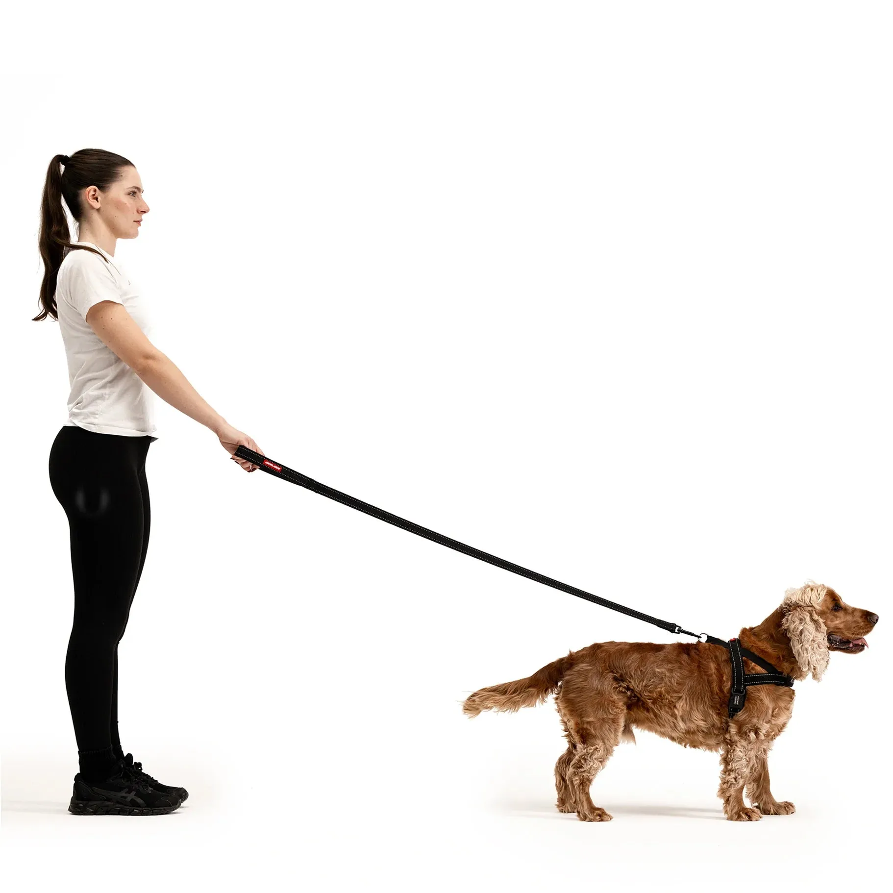 EzyDog Essential Dog Lead Khaki 48inch