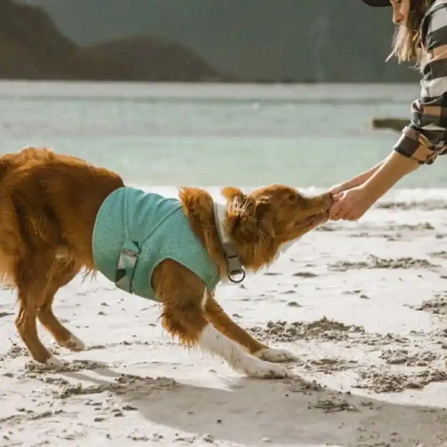 Hurtta Cooling Wrap For Dogs - Dog Cooling Vest