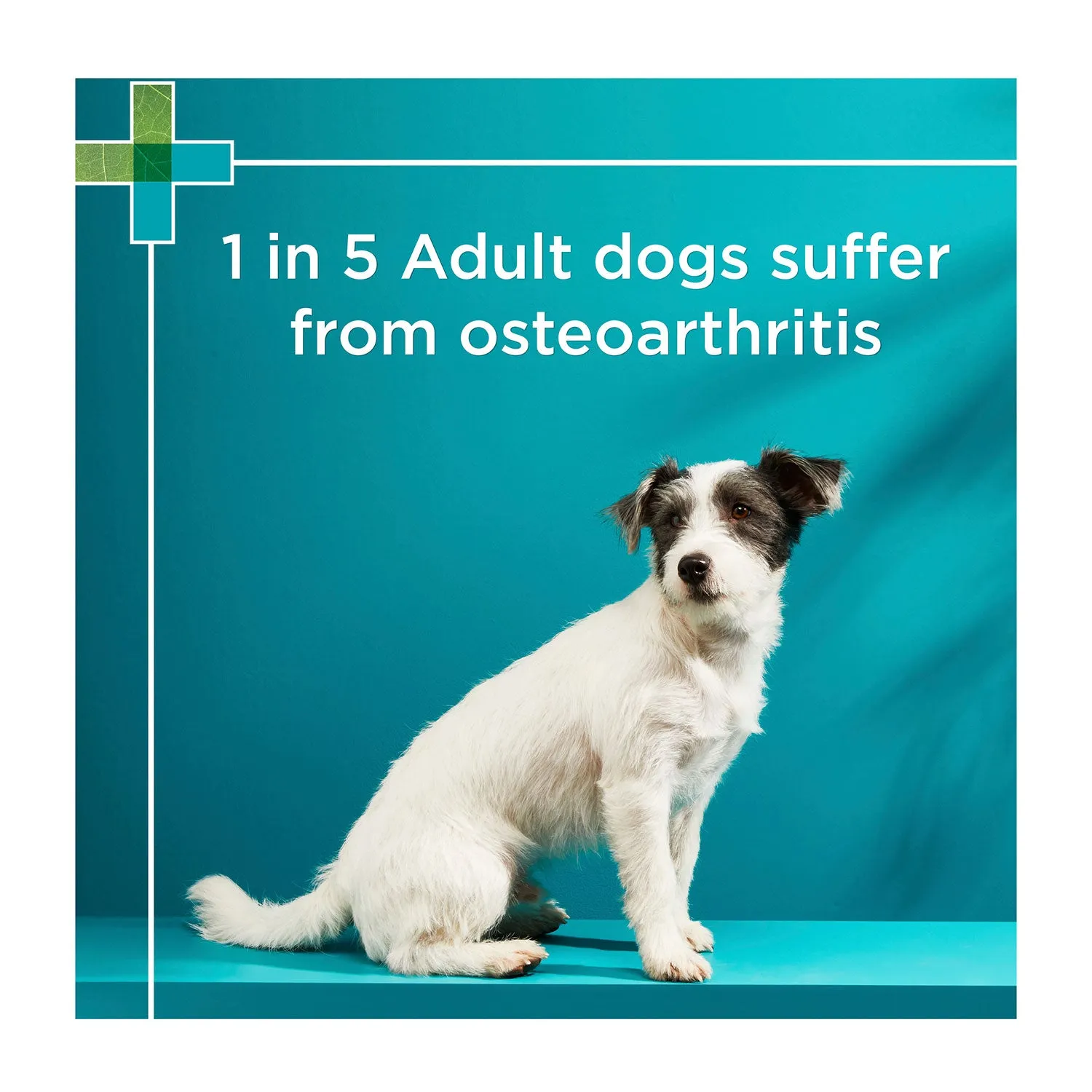 PAW Osteocare Joint Protect Small Dog Chews 75g 30pk