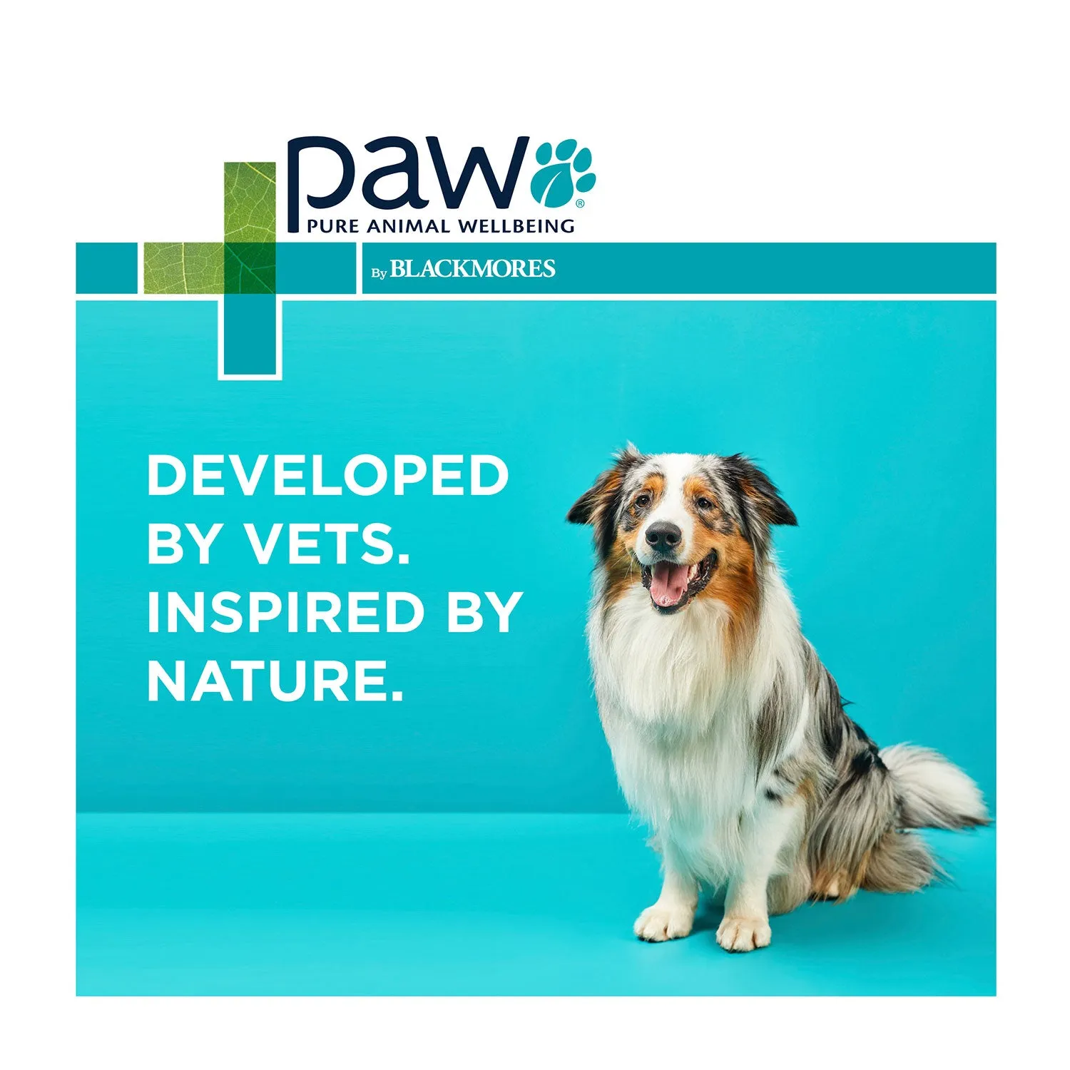 PAW Osteocare Joint Protect Small Dog Chews 75g 30pk