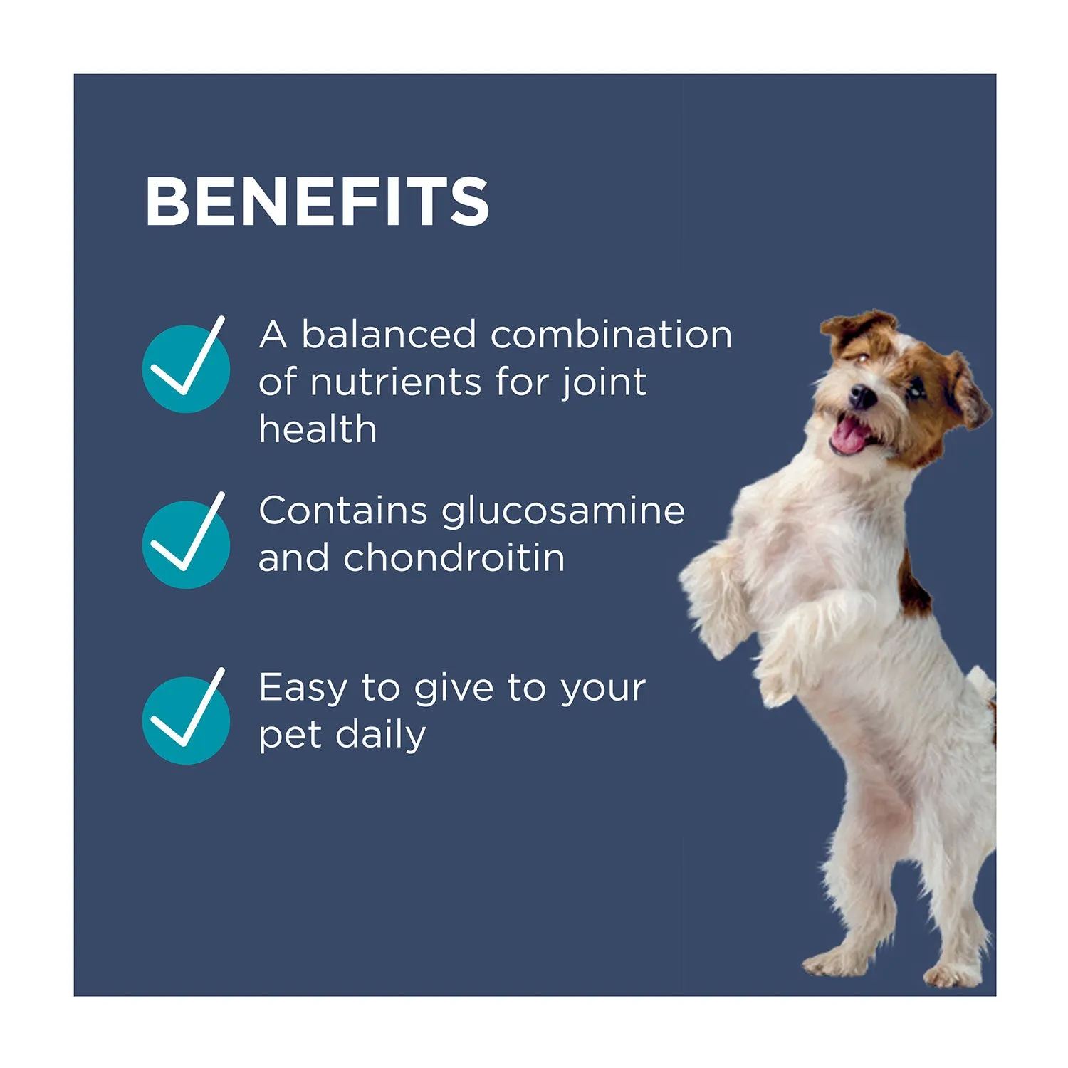 PAW Osteocare Joint Protect Small Dog Chews 75g 30pk