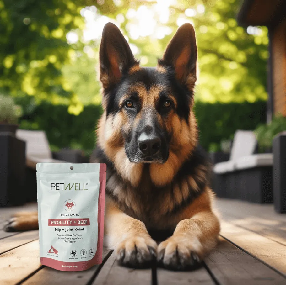 PetWell MOBILITY   BEEF Functional Treats