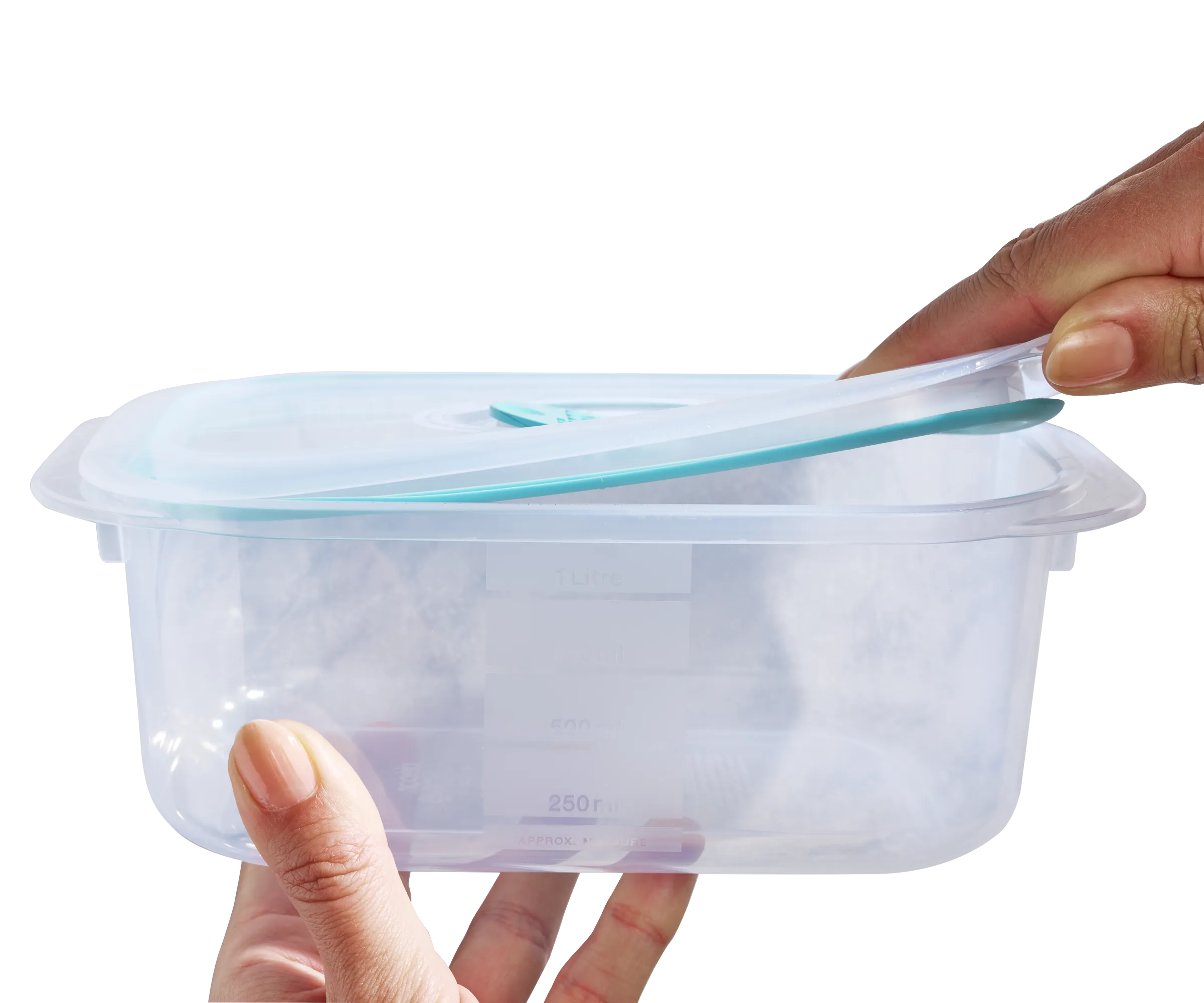 Plastic Container, Oblong, 1L