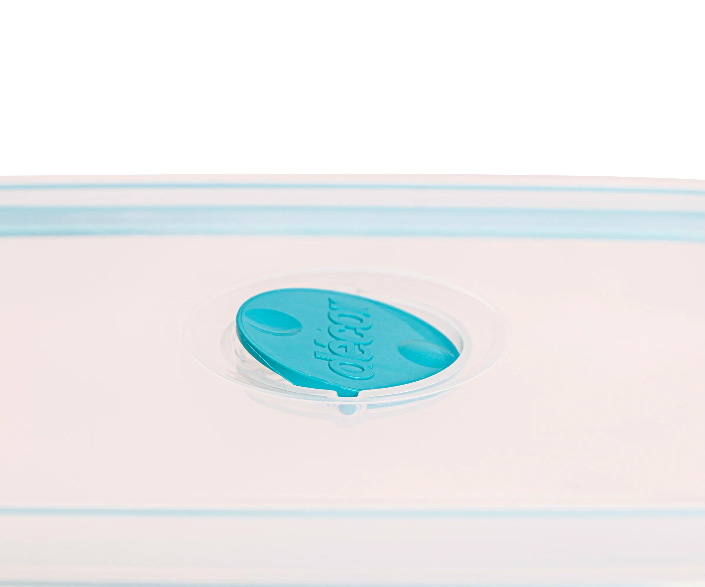 Plastic Container, Oblong, 1L