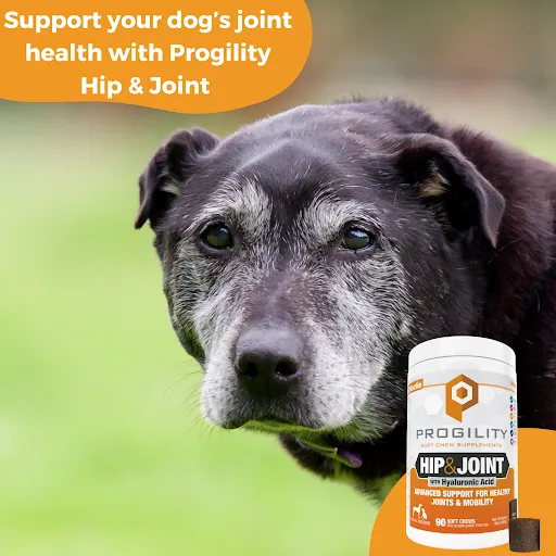 Progility Hip & Joint Soft Chew Supplements For Dogs |Advanced Support for Healthy Joints & Mobility