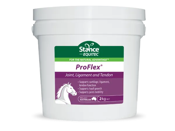 Stance Equitec Pro-Flex 2kg